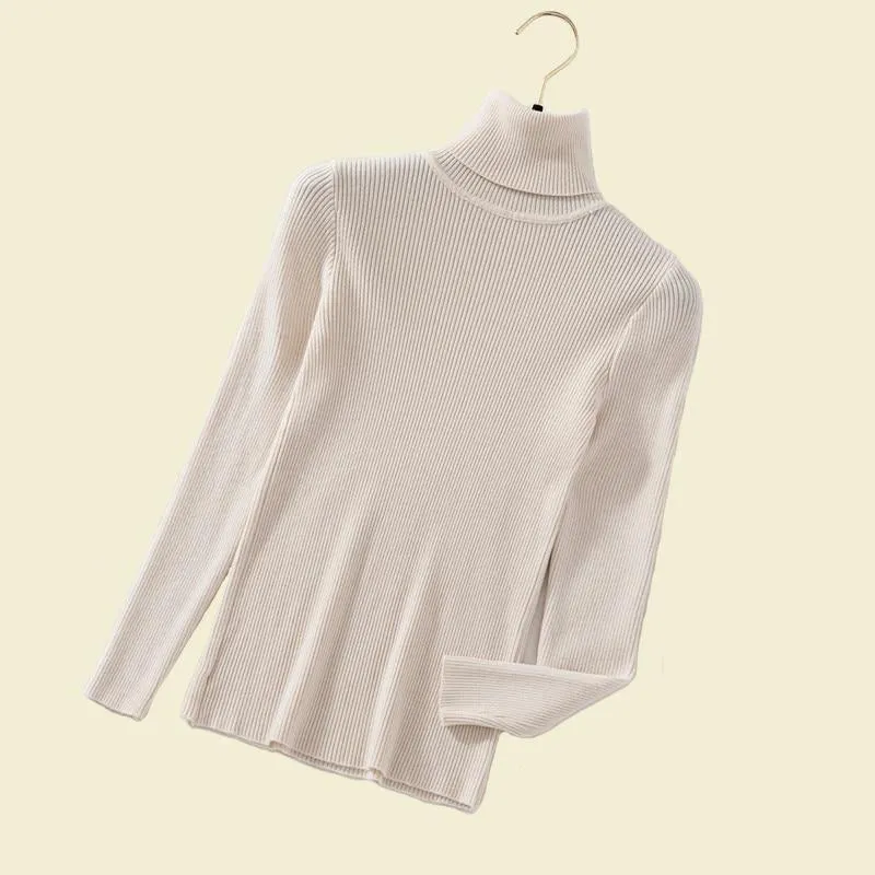 Autumn Turtleneck Pullover Sweater For Women