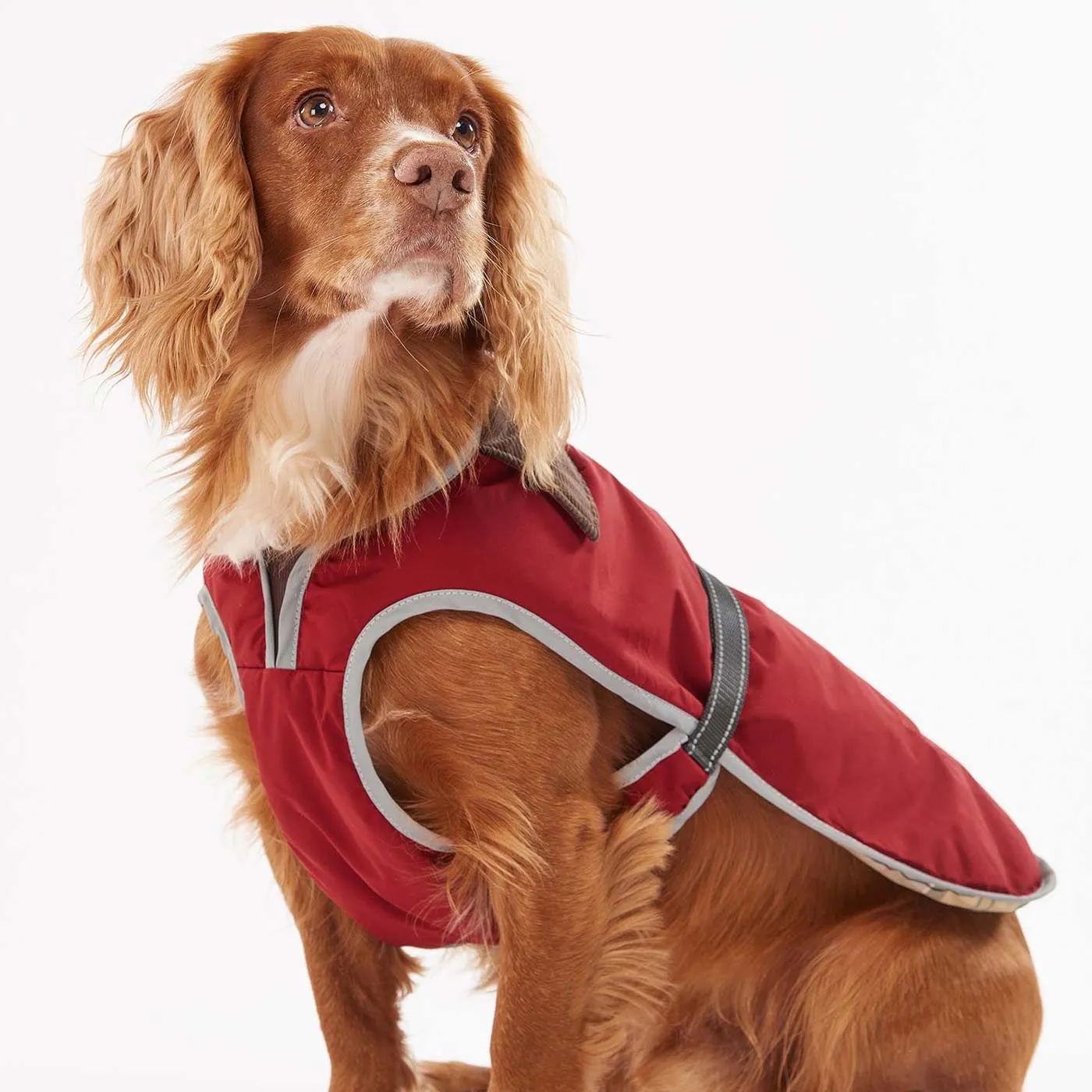 Barbour Monmouth Waterproof Dog Coat