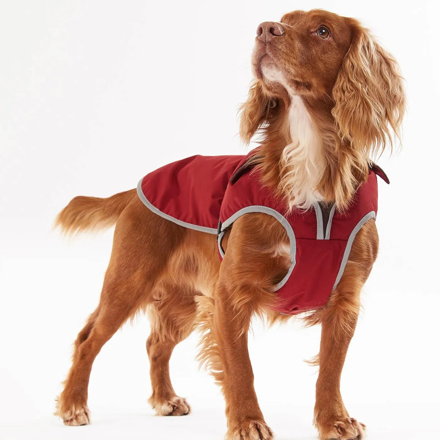 Barbour Monmouth Waterproof Dog Coat