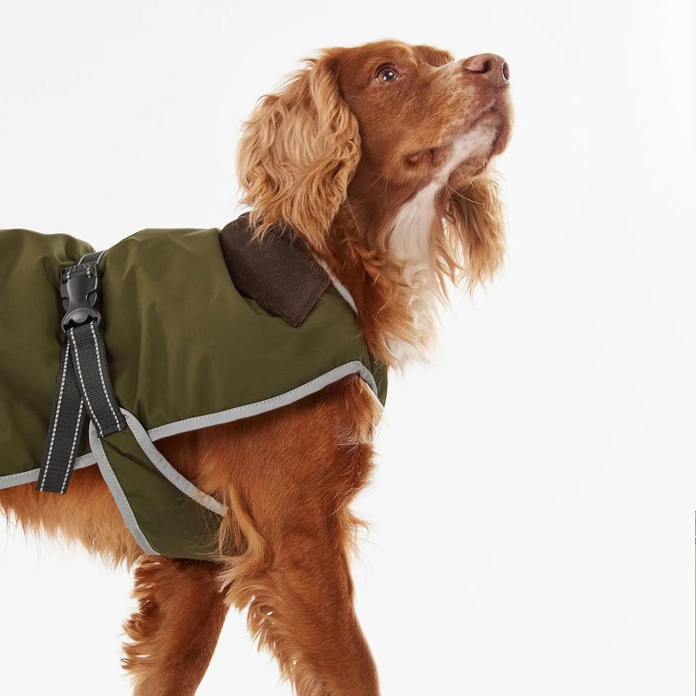 Barbour Monmouth Waterproof Dog Coat