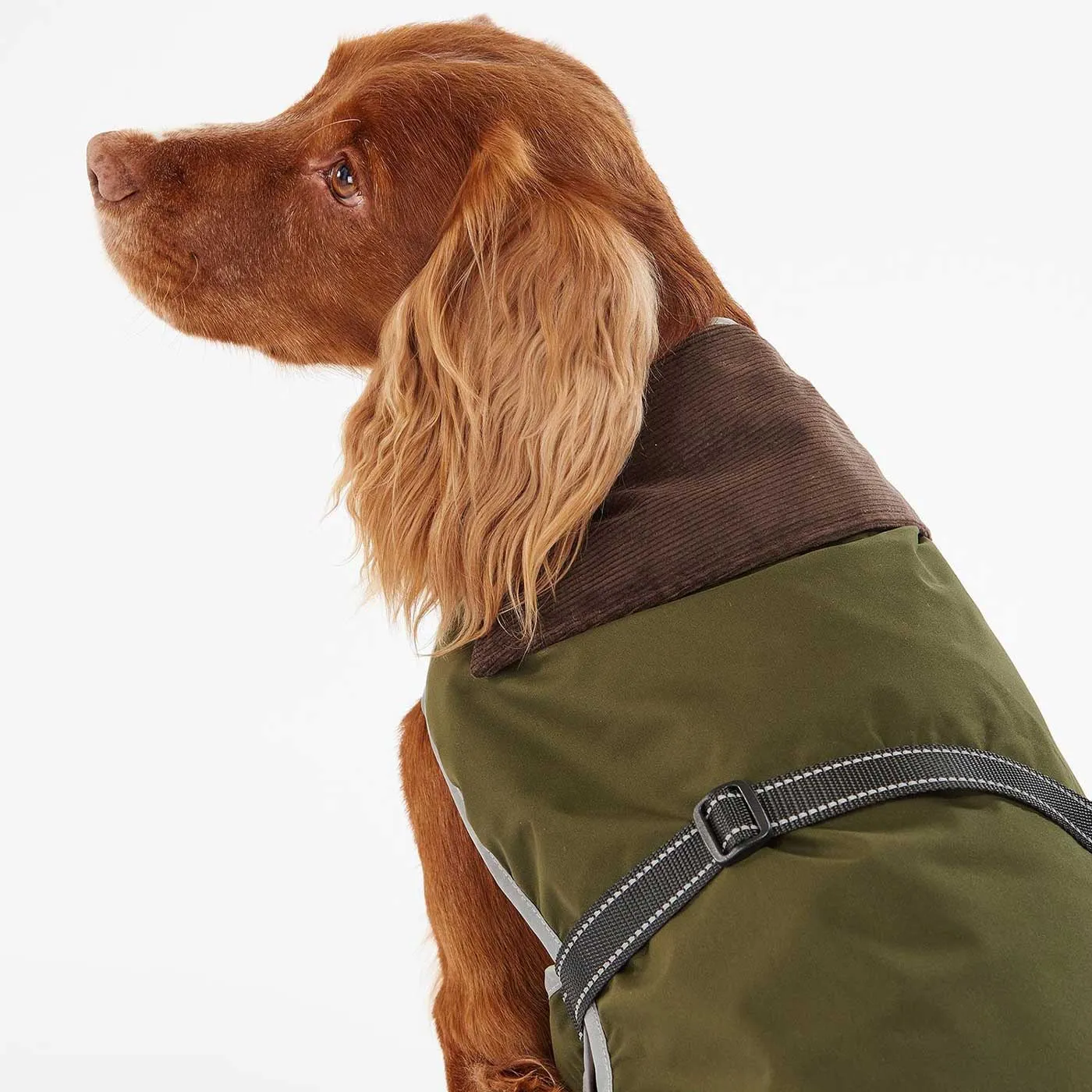 Barbour Monmouth Waterproof Dog Coat