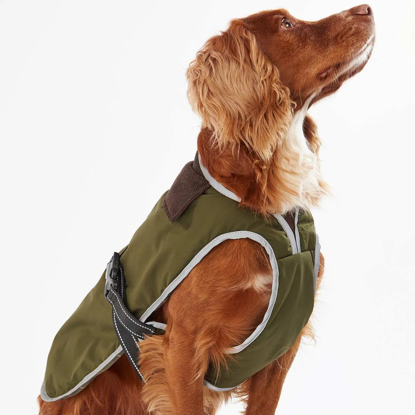 Barbour Monmouth Waterproof Dog Coat