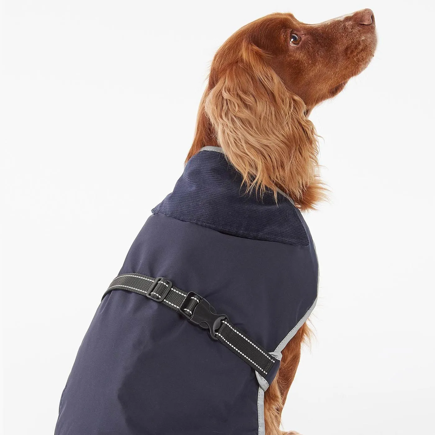 Barbour Monmouth Waterproof Dog Coat