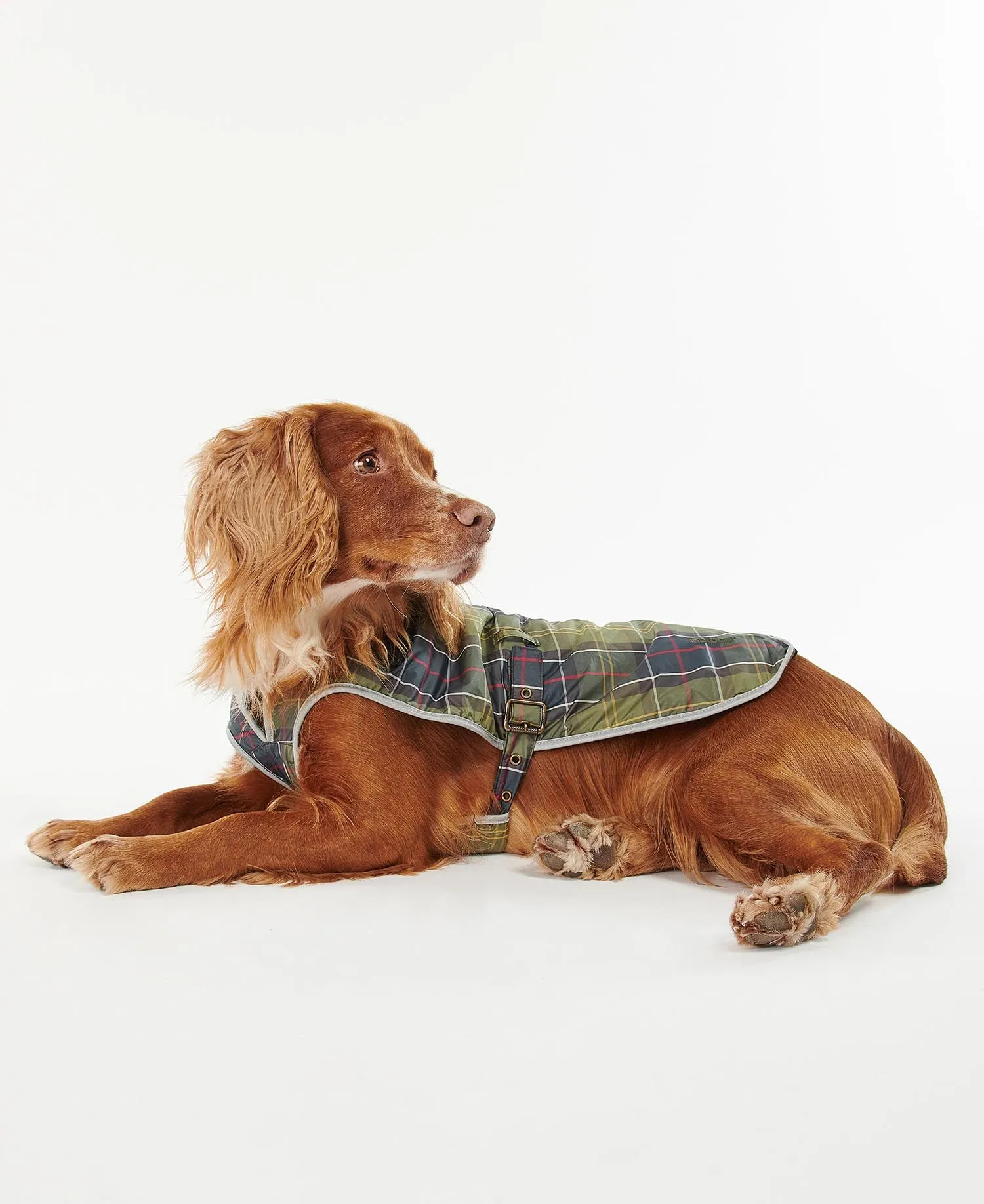 Barbour Tartan Waterproof Dog Coat