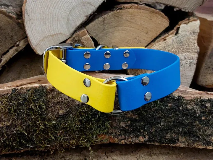 Blue & Yellow Waterproof Collar