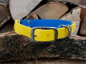 Blue & Yellow Waterproof Collar