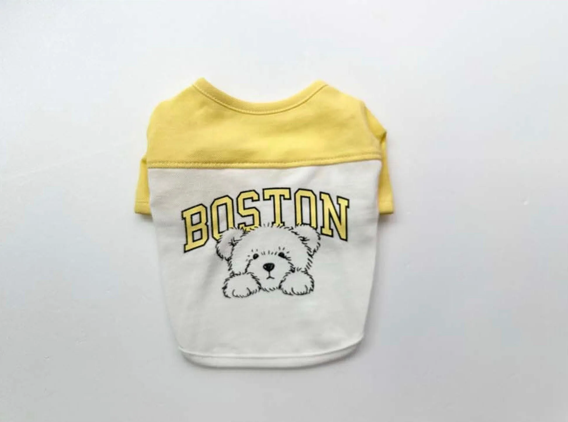 Boston Color-Block Tee