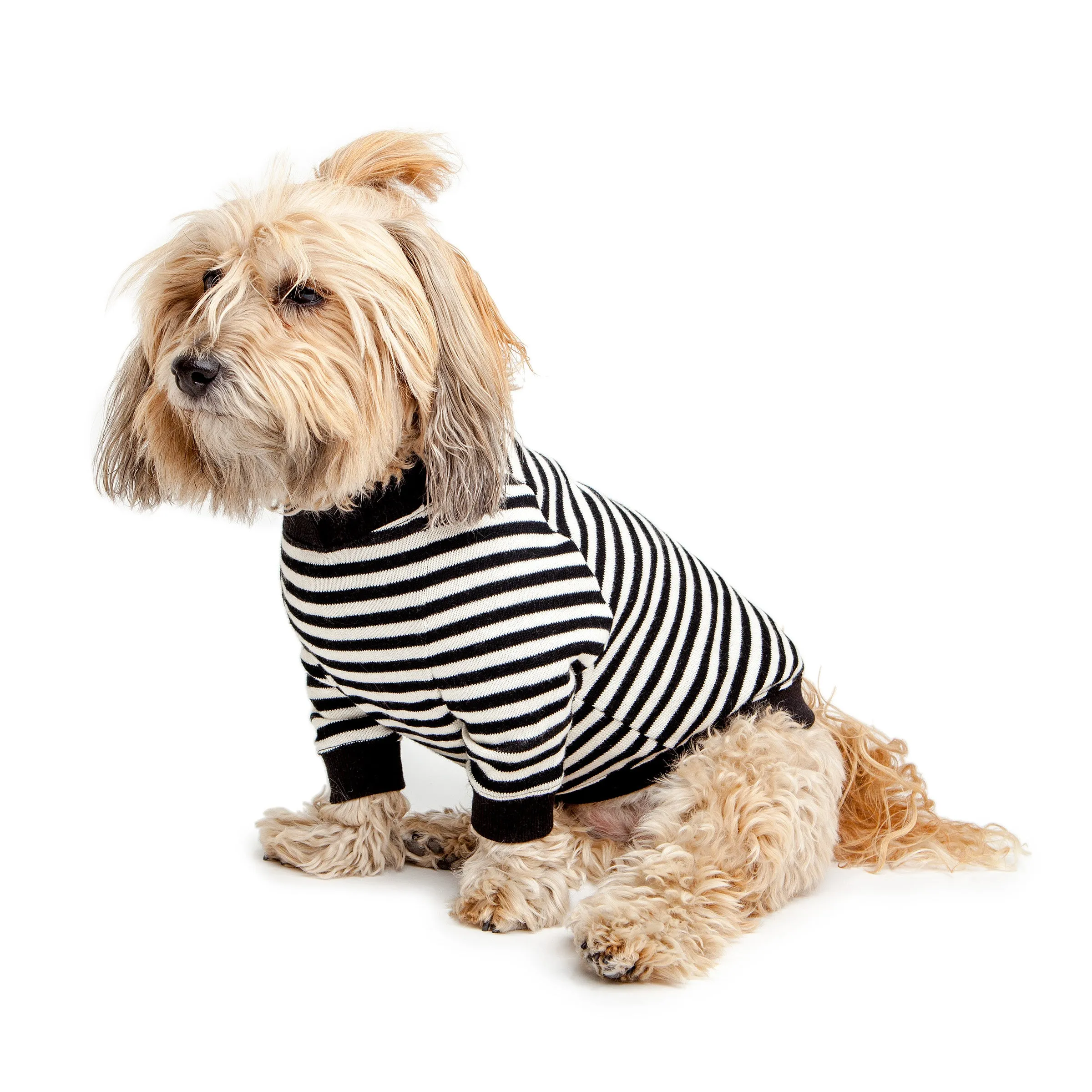 Cheeky Stripe Pullover in Black & White with Black Trim