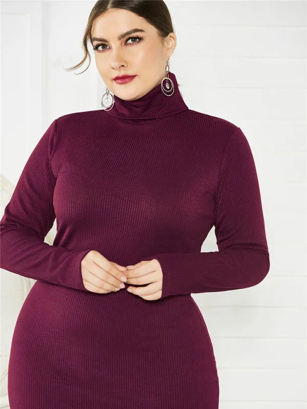 Chic Solid Color Long Sleeve Knit Plus Size Turtleneck Dresses