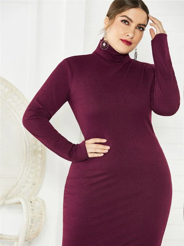 Chic Solid Color Long Sleeve Knit Plus Size Turtleneck Dresses