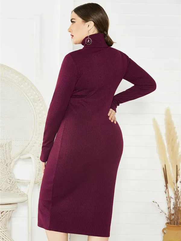 Chic Solid Color Long Sleeve Knit Plus Size Turtleneck Dresses