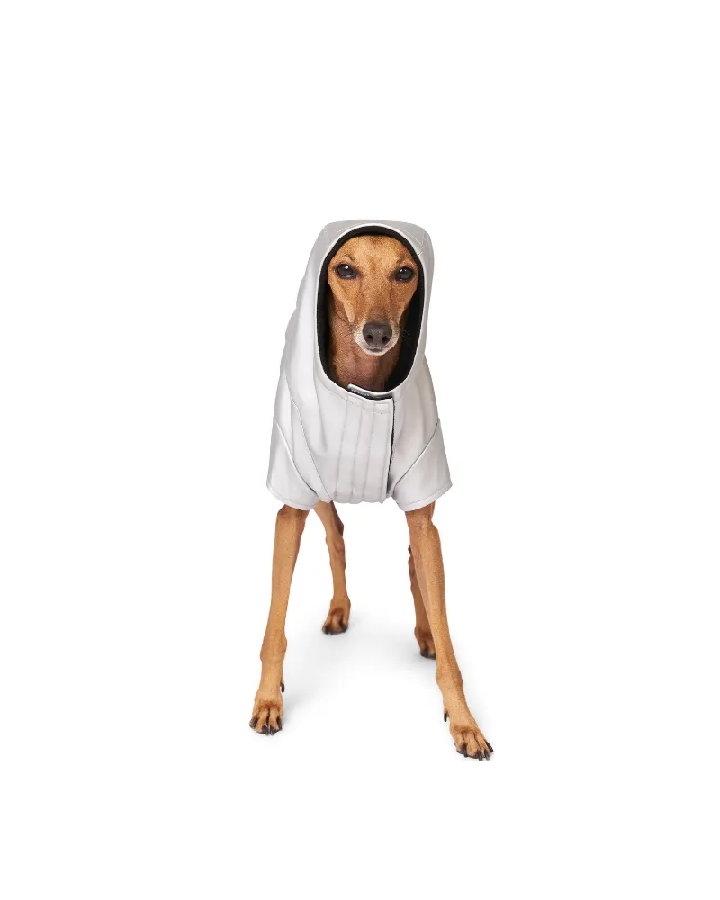 Cold Front Dog Raincoat in Silver (FINAL SALE)