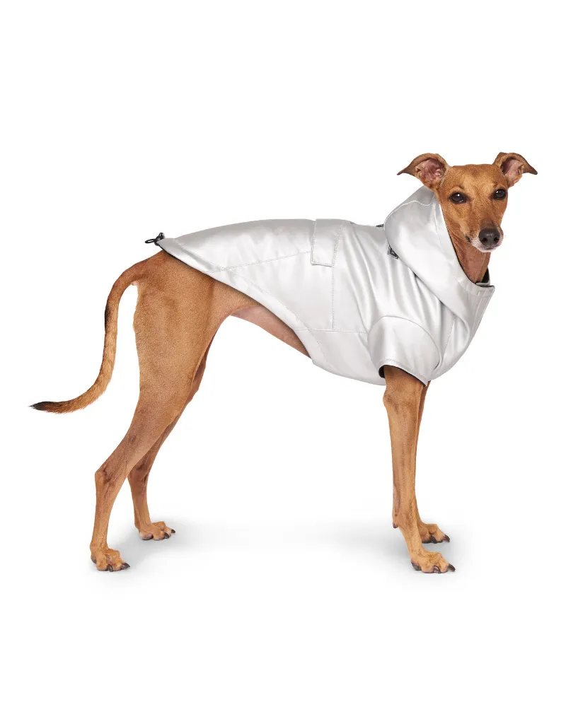 Cold Front Dog Raincoat in Silver (FINAL SALE)