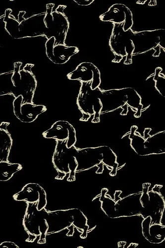 Desired Dress in Dachshund Print by Effie's Heart