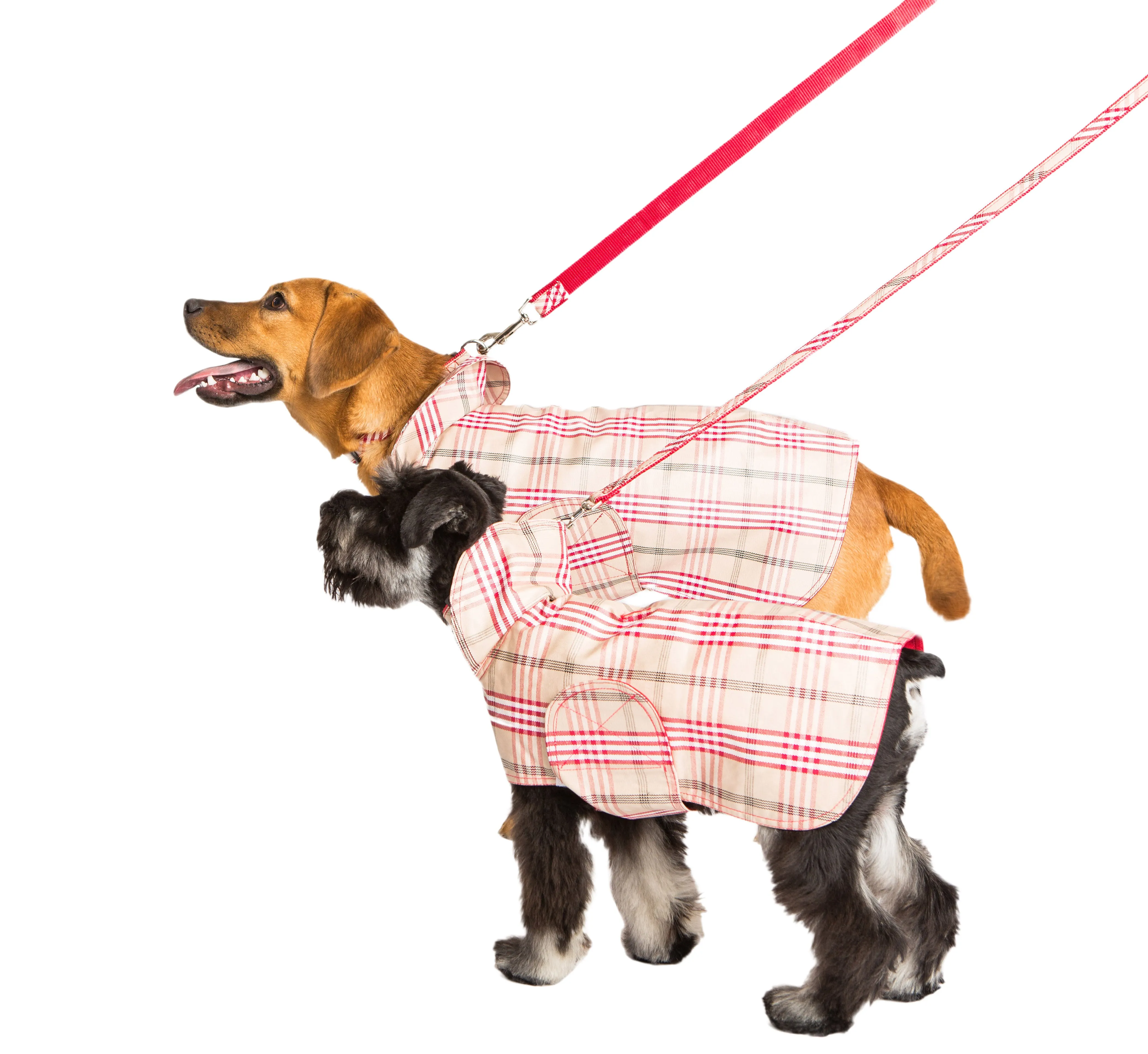 Dog Coat - Raincoat, Waxed Signature Red Plaid