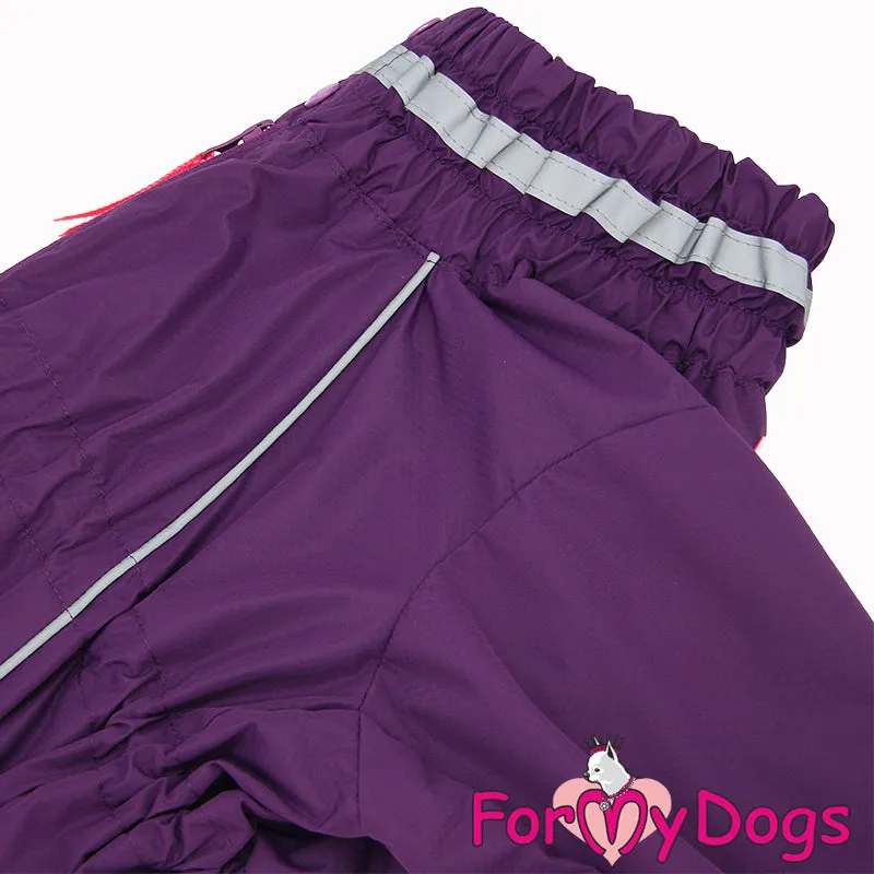 Perfect Purple Rainsuit For Girls For Medium, Large Breeds & Pugs SPECIAL ORDER