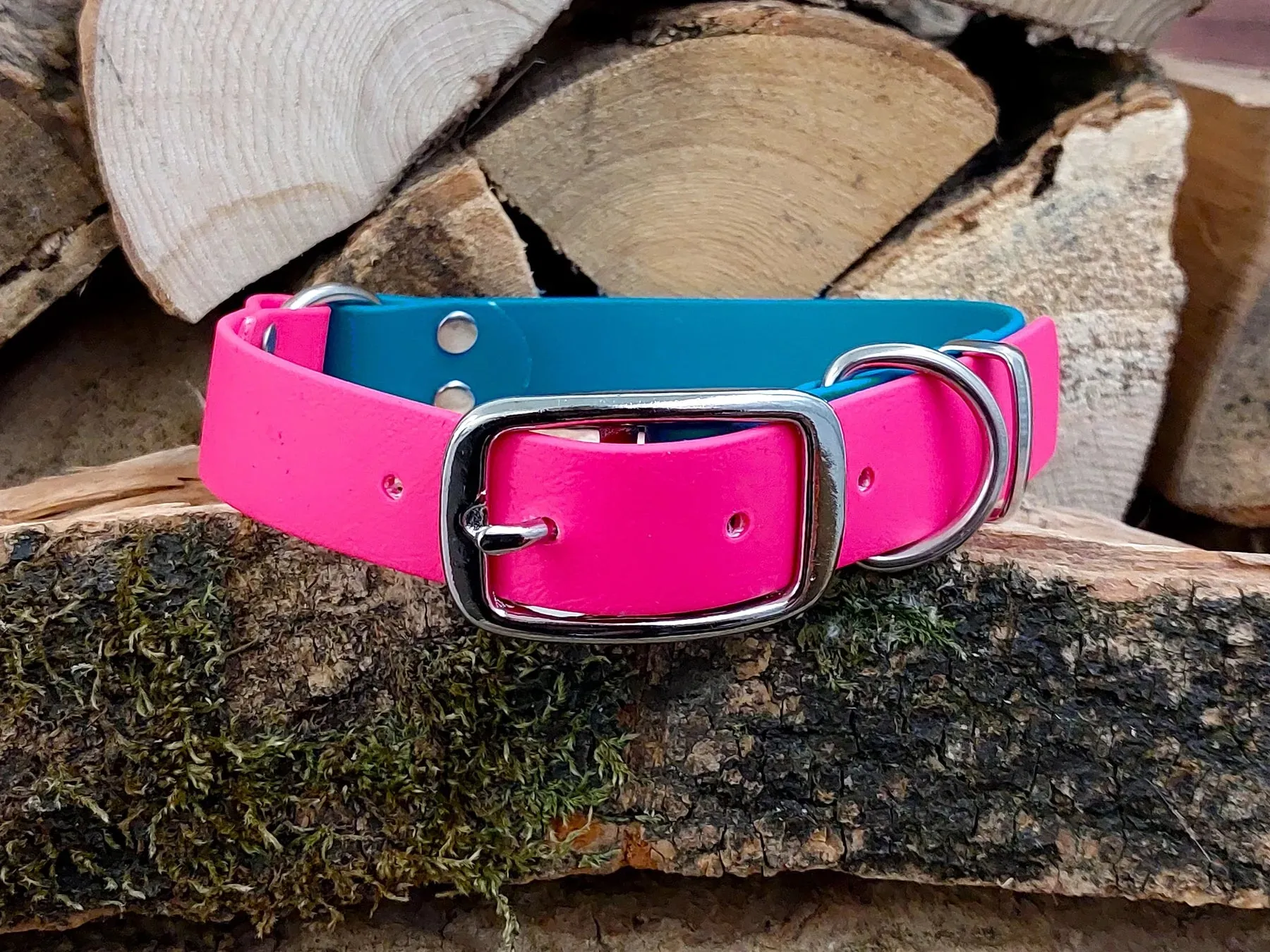 Turquoise & Pink Waterproof Dog Collar