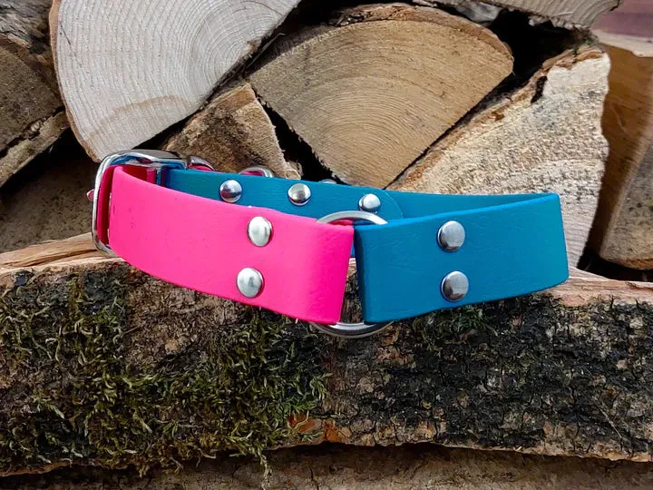 Turquoise & Pink Waterproof Dog Collar