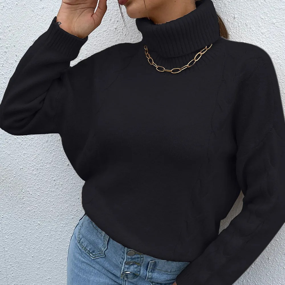 Turtle Neck Long Sleeve Sweater