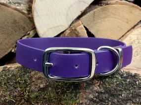 Violet Waterproof Collar