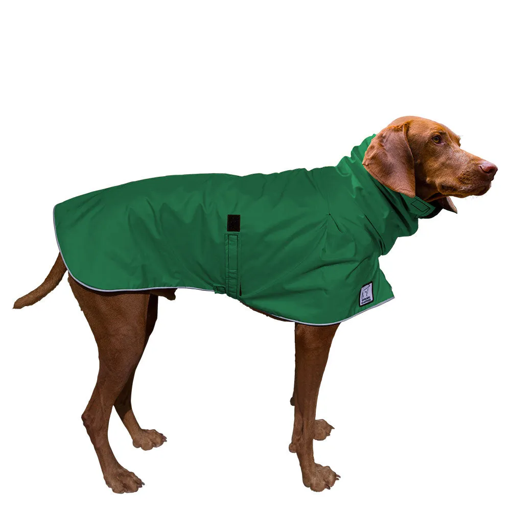 Vizsla Raincoat