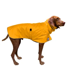 Vizsla Raincoat