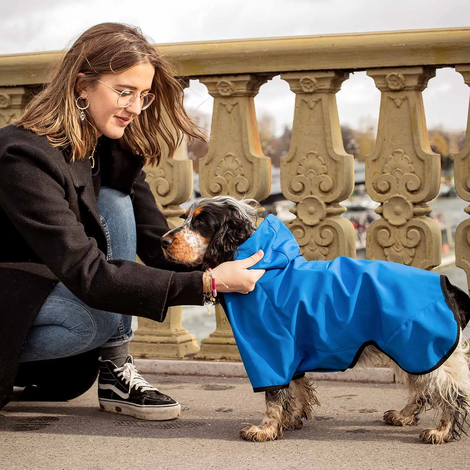 Waterproof Dog Softshell Jacket, Hooded Raincoat and Windbreakers