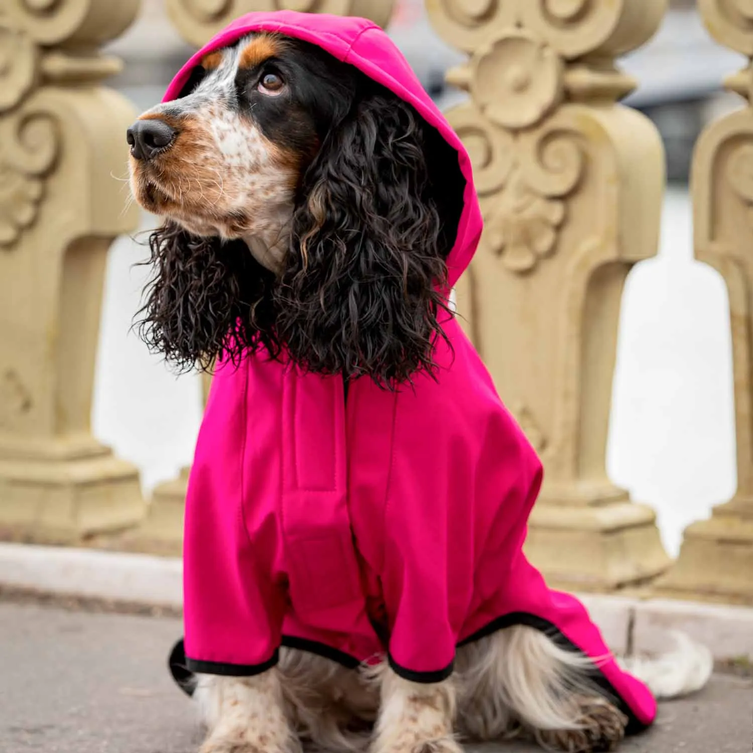 Waterproof Dog Softshell Jacket, Hooded Raincoat and Windbreakers