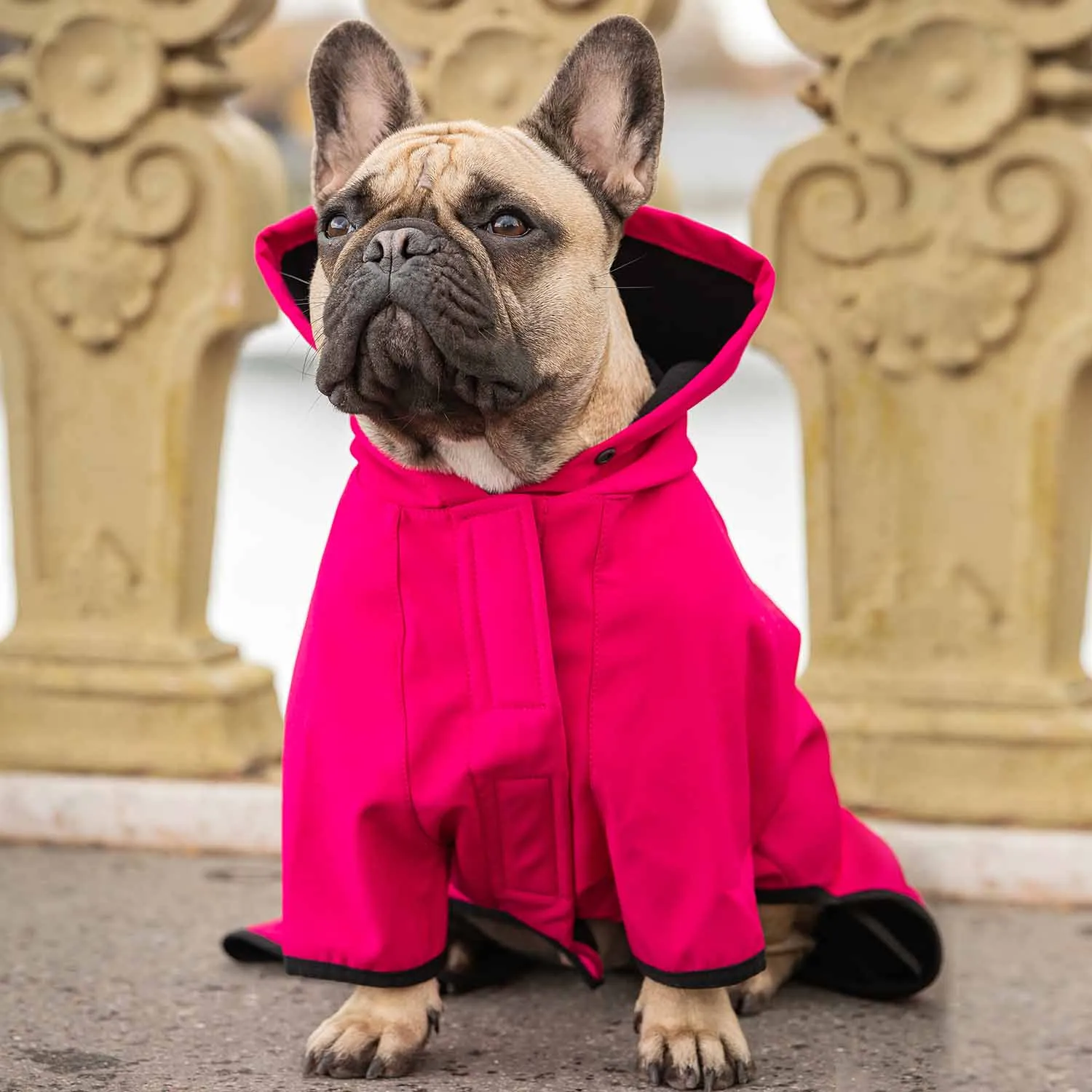 Waterproof Dog Softshell Jacket, Hooded Raincoat and Windbreakers