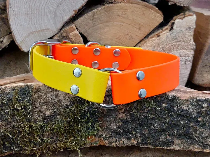 Yellow & Orange Waterproof Collar