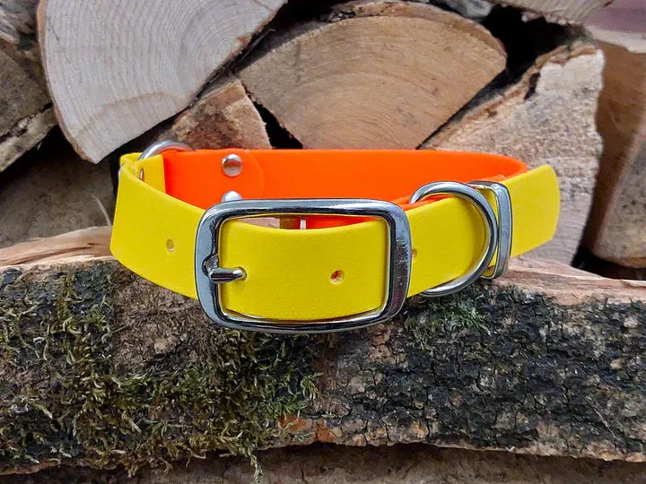 Yellow & Orange Waterproof Collar